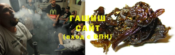 гидра Горно-Алтайск