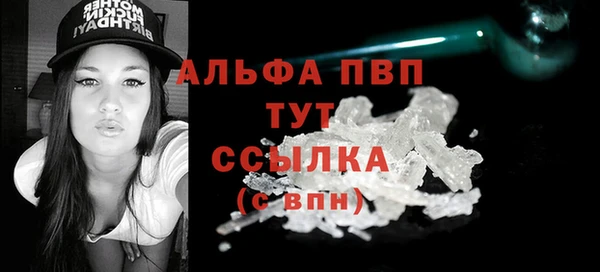 гидра Горно-Алтайск