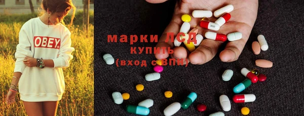 гидра Горно-Алтайск